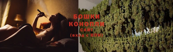 крисы Инта