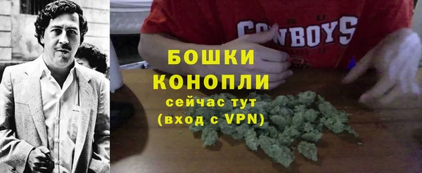 гашик Инсар