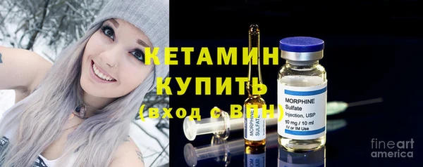 крисы Инта