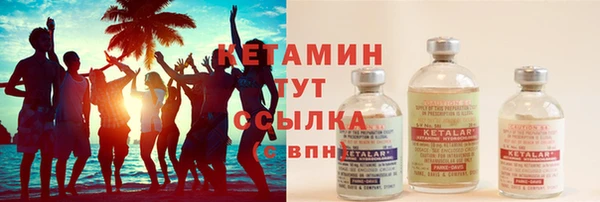 крисы Инта