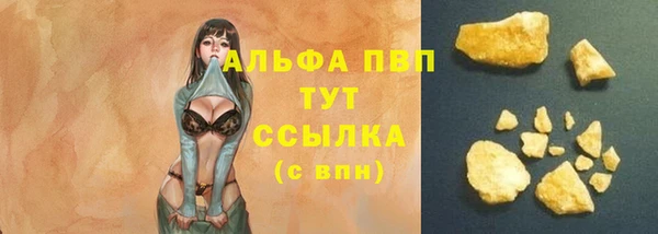 гашик Инсар