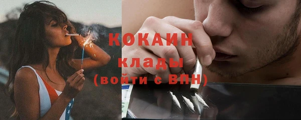 крисы Инта