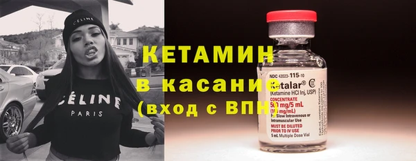 крисы Инта