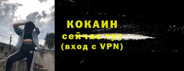 гашик Инсар