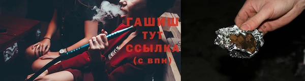 крисы Инта