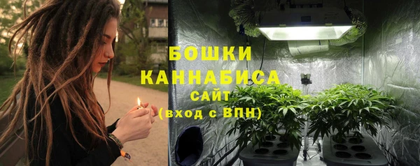 крисы Инта