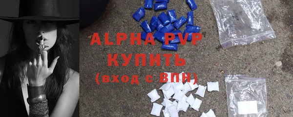 гашик Инсар