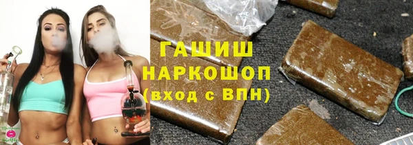 крисы Инта