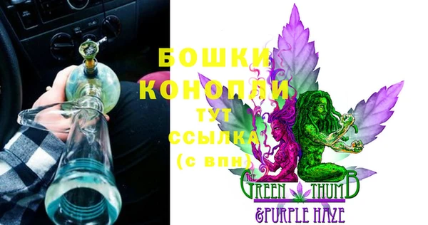 крисы Инта