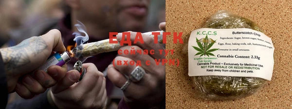 крисы Инта