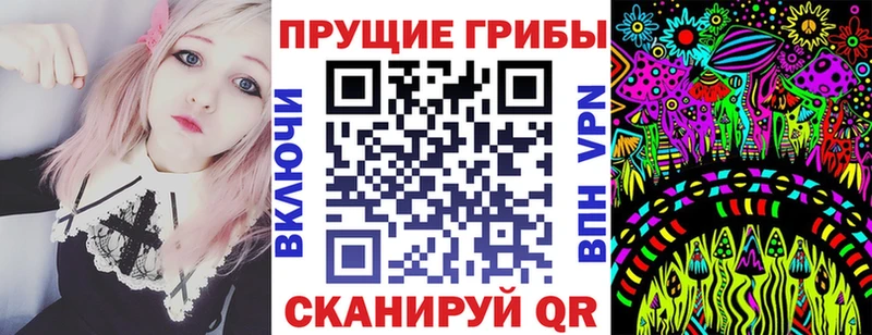 Псилоцибиновые грибы Psilocybine cubensis Козельск