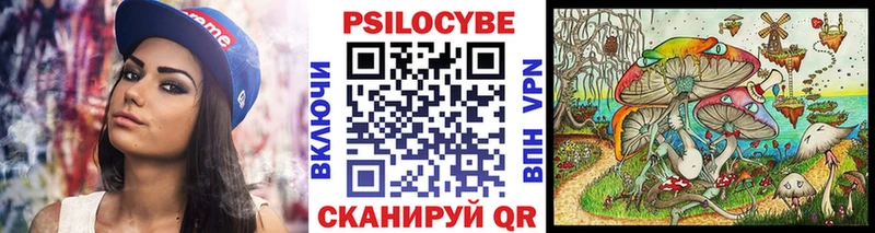 Купить закладки  Козельск  Псилоцибиновые грибы прущие грибы 